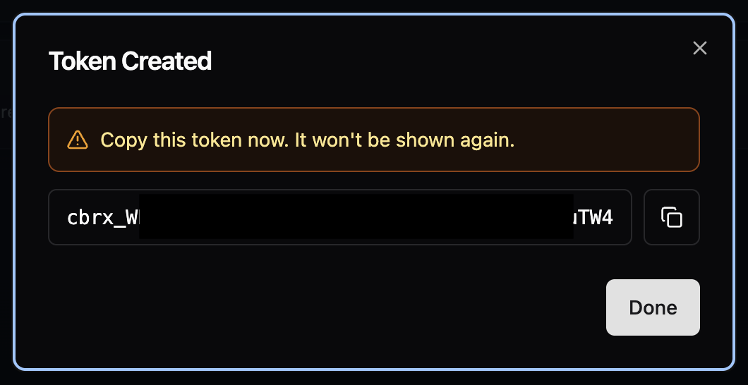 Copying the generated API token